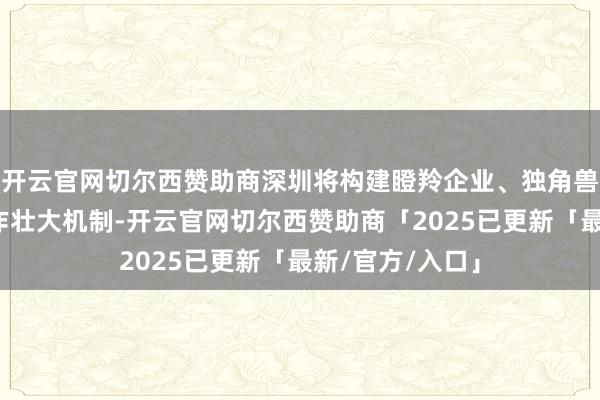 开云官网切尔西赞助商深圳将构建瞪羚企业、独角兽企业发现和耕作壮大机制-开云官网切尔西赞助商「2025已更新「最新/官方/入口」