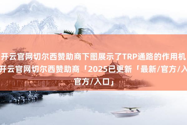 开云官网切尔西赞助商下图展示了TRP通路的作用机制-开云官网切尔西赞助商「2025已更新「最新/官方/入口」