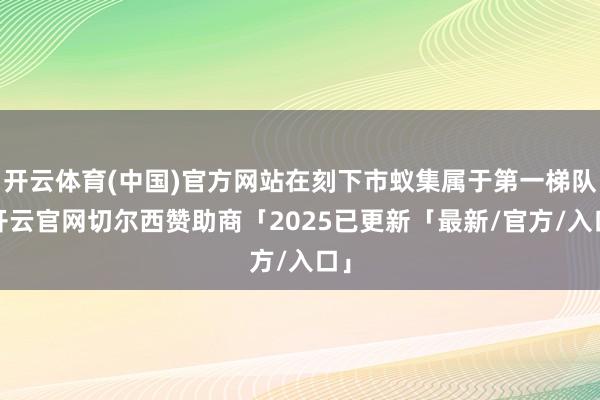 开云体育(中国)官方网站在刻下市蚁集属于第一梯队-开云官网切尔西赞助商「2025已更新「最新/官方/入口」